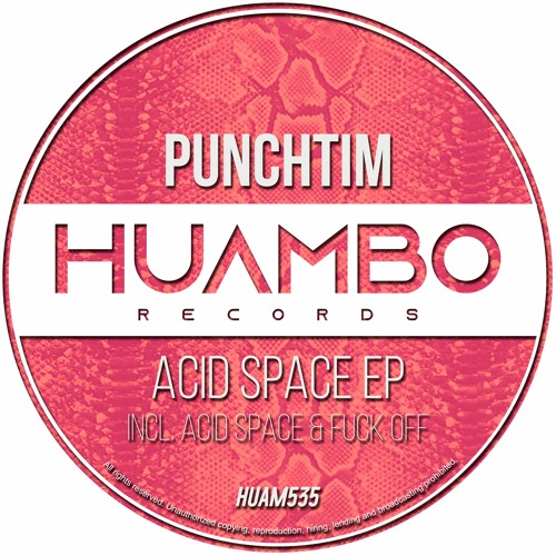 PUNCHTIM - Acid Space (Fun Mix)