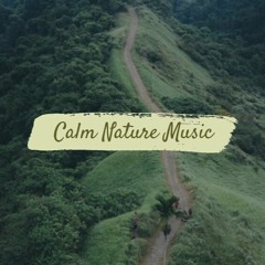 Calm Nature Music