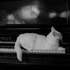 Mystery Box [Trip Hop Essential]