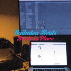 Beats in Place Vol. 2