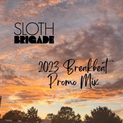 Sloth Brigade 2023 Breakbeat Promo Mix