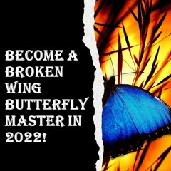 Become A Broken Wing Butterfly Master In 2022!