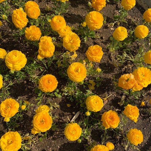 MSCHF FLAGSHIP STORE MIX 27