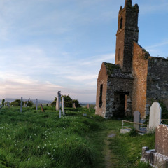 Memorial for mycorrhiza