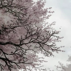 Surreal_dvd - Demo #2 (w⧸Prptlll) (Slowed Version).m4a