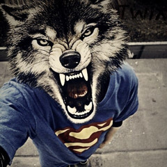 Брянский скам