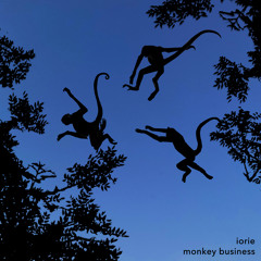 Iorie - Monkey Business (Glenn Shaw Remix)