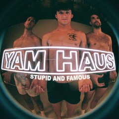 Stupid and Famous