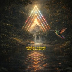 Totems del Sal (Najad Remix)