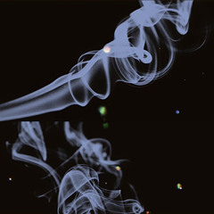 TAY - Hallucinating (Freestyle)