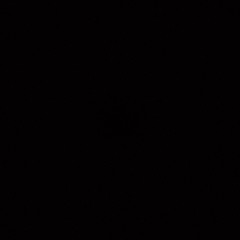 THE BEST - HOUSE 100%