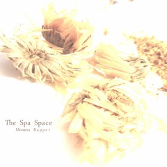 The Spa Space
