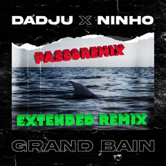 DADJU Grand bain REMIX EXTENDED BY PASSOREMIX