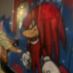 knuckles TER