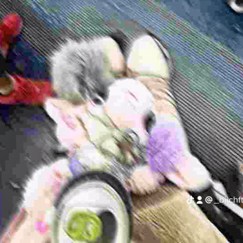 biichftt - SEPTA
