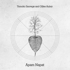 Gilles Aubry and Tomoko Sauvage - Apam Napat (excerpt)