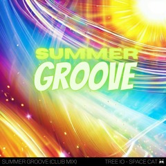 Summer Groove (Club Mix, co-produced by Tree IO)