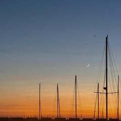 Am I? - Acoustic ft. The Boolers