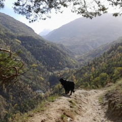 "Es ist ein Nebenbecken von einem Fluss mit einer lauwarmen Quelle."