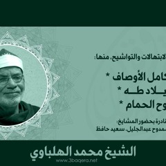 جلسة تواشيح بحضور المشايخ: محمد عمران، وسعيد حافظ، وممدوح عبدالجليل، ومحمد الهلباوي.