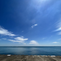 Make you feel my love - bob dylan