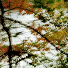 DR0000_0427 oconee river (hydrophone)