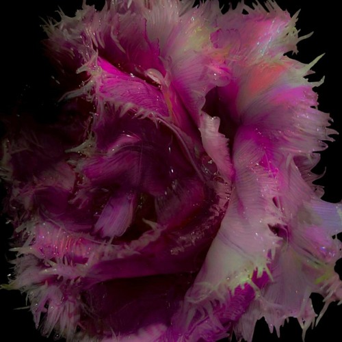 Patrick DSP - Bass Is... [Artaphine Premiere]