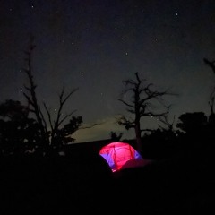 Shawangunk
