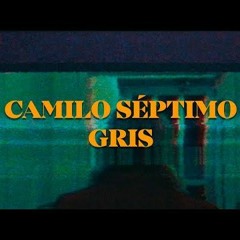 Camilo Septimo Gris