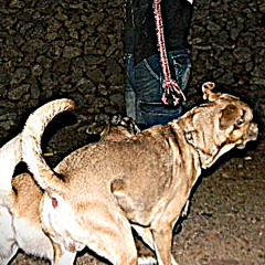 Kristina (prod. 71V)