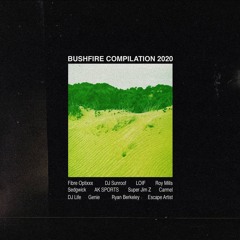 Revisit (Bushfire Compilation 2020)