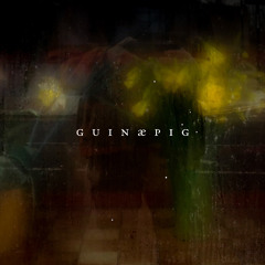 guinæpig - Nihlist Nerve Blender