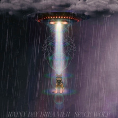 RAINY DAY DREAMER MIX