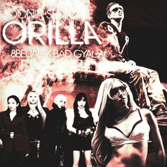 DON'T STOP THE ORILLA