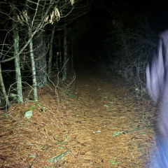 Party Bitches ft uni (ProdKenzee)