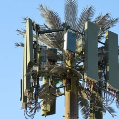 The Band is all here