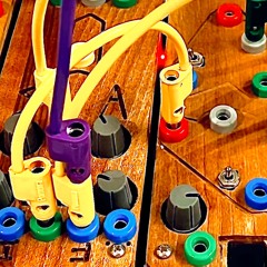 230908 0074 Raw cocoquantus