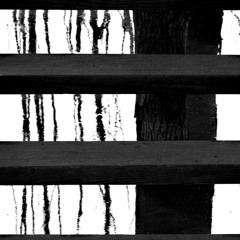 Freeprison
