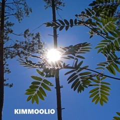 Luminous
