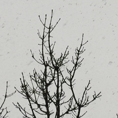 Negative Nostalgia (2018)