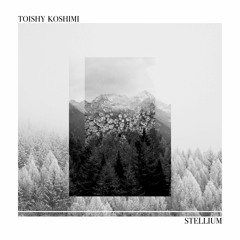 1.Toishy Koshimi - Tenth House