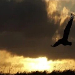 A Dream Upon The Breeze