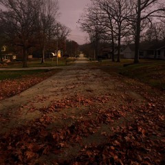 sally’s demise (prod. prodgrayskies)