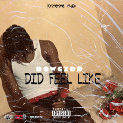 dowgxdd - Did Feel Like