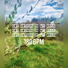 Got nothing in my brain (Taylor Swift Hardtekk Remix)