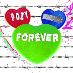 Pozy & Beauweiss - Forever