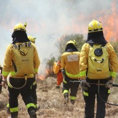 "Inédito em minha vida, uma cena bem assustadora", fala bombeiro de SC sobre incêndio no Pantanal