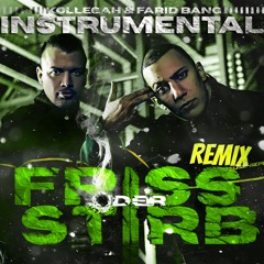 FRISS ODER STIRB REMIX [INSTRUMENTAL]