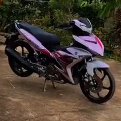 TẾT - CƠM ĐOÀN VIÊN - Ngọc Sơn Mix