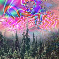 Forest Frequencies V.1